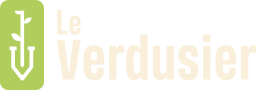 Le Verdusier – Benjamin Despain Logo